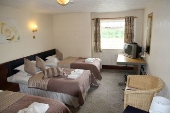 The Stuffed Dormouse Hotel Newport  Extérieur photo